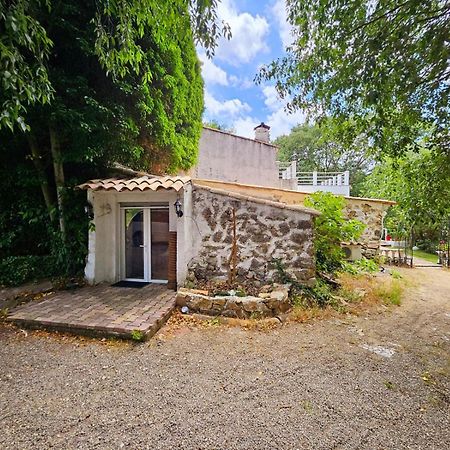 Suites Coupo Santo Et Lou Peiro Cotignac Extérieur photo